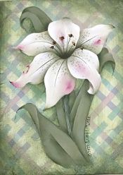 EASTER LILY